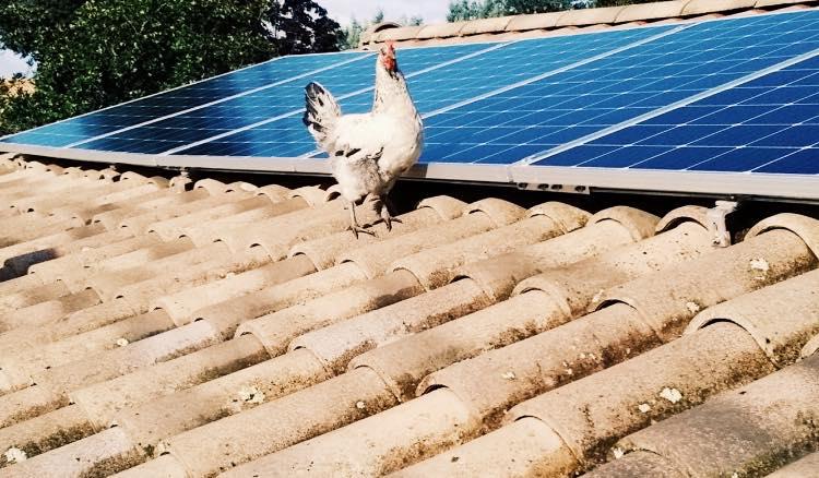 Vue a&eacute;rienne d'une installation de panneaux solaires sur une toiture